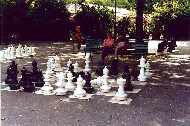 Šachy v parku